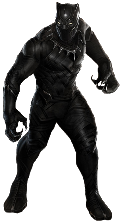 Black Panther Photos PNG Image