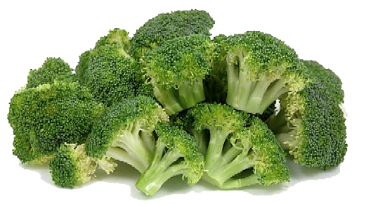 Broccoli File PNG Image