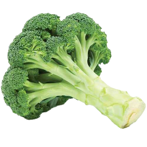 Pic Green Broccoli PNG Image High Quality PNG Image