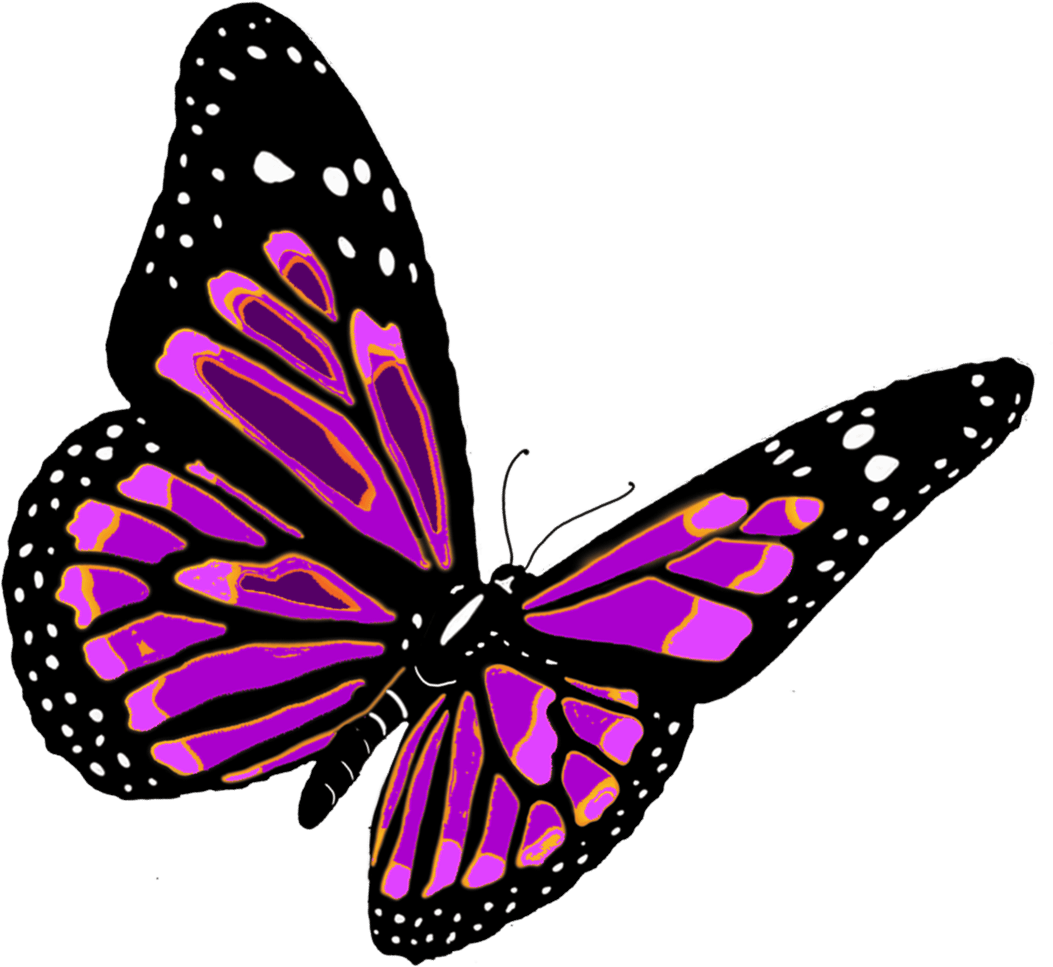 Free Free Transparent Butterfly Svg Free 57 SVG PNG EPS DXF File