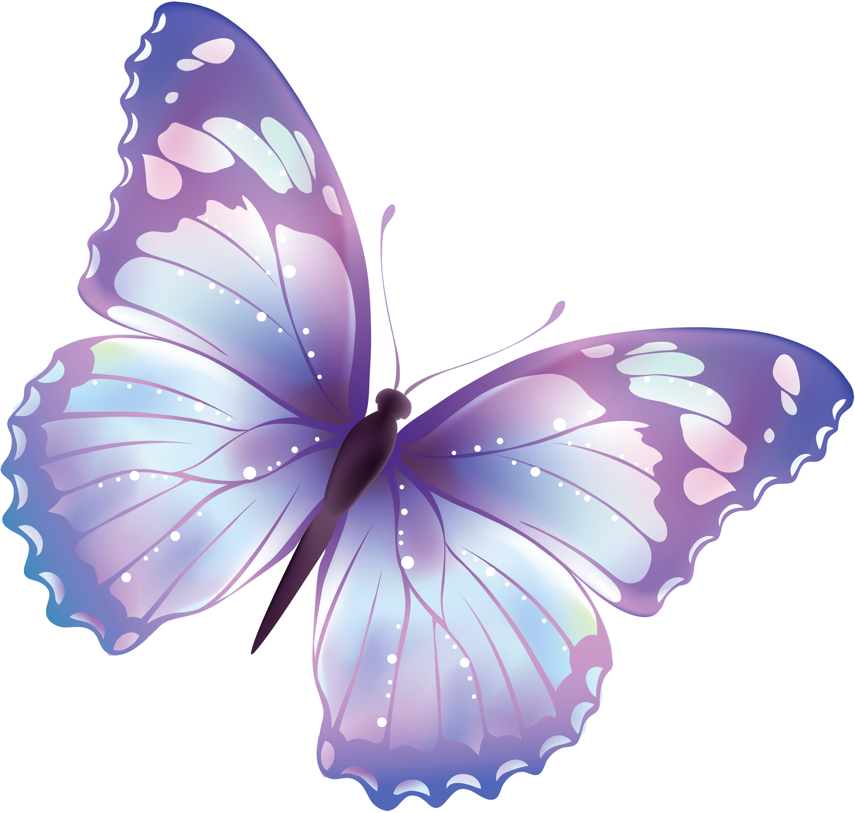 Butterfly Png 3 PNG Image