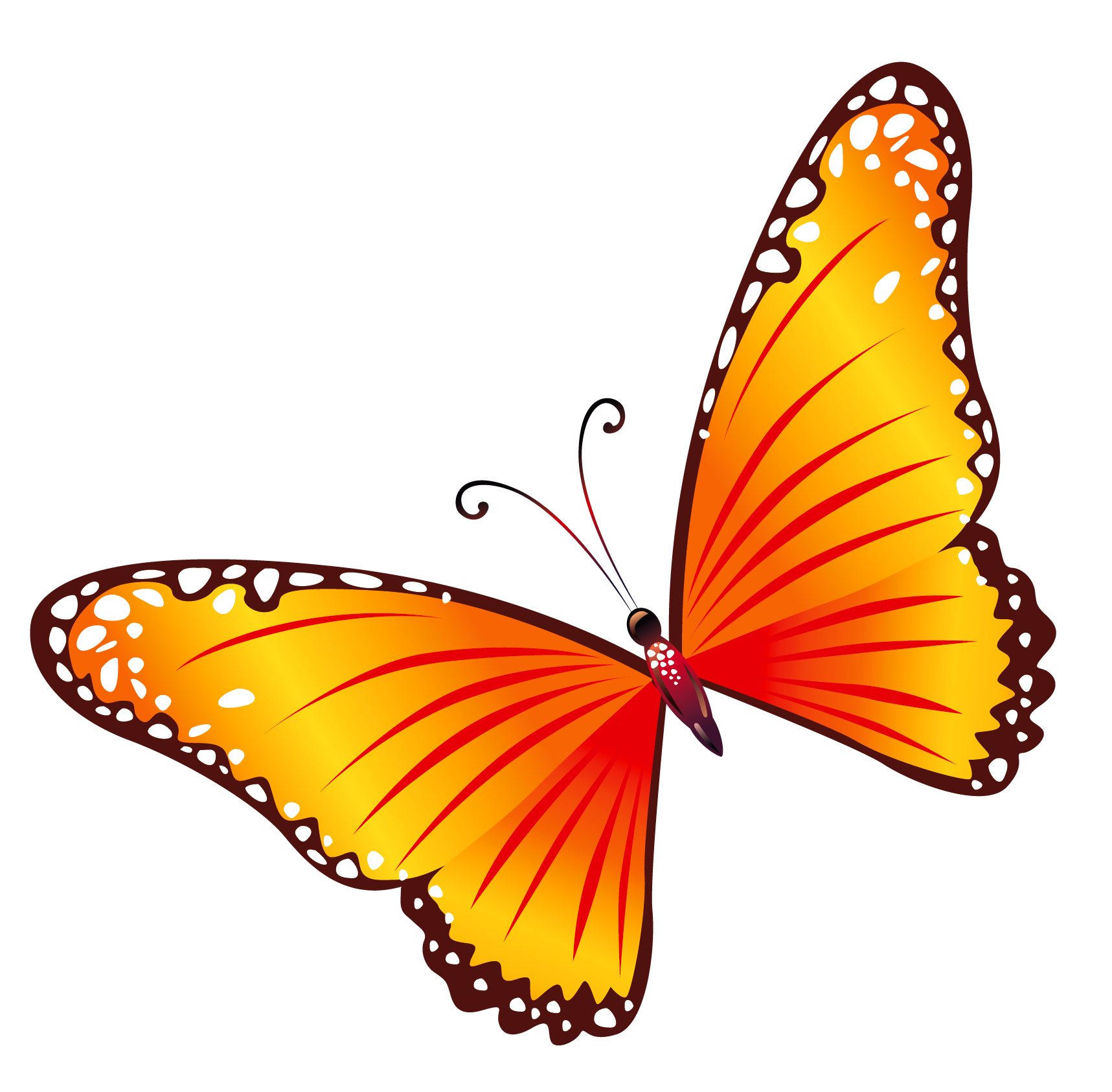 Butterfly Clipart PNG Image
