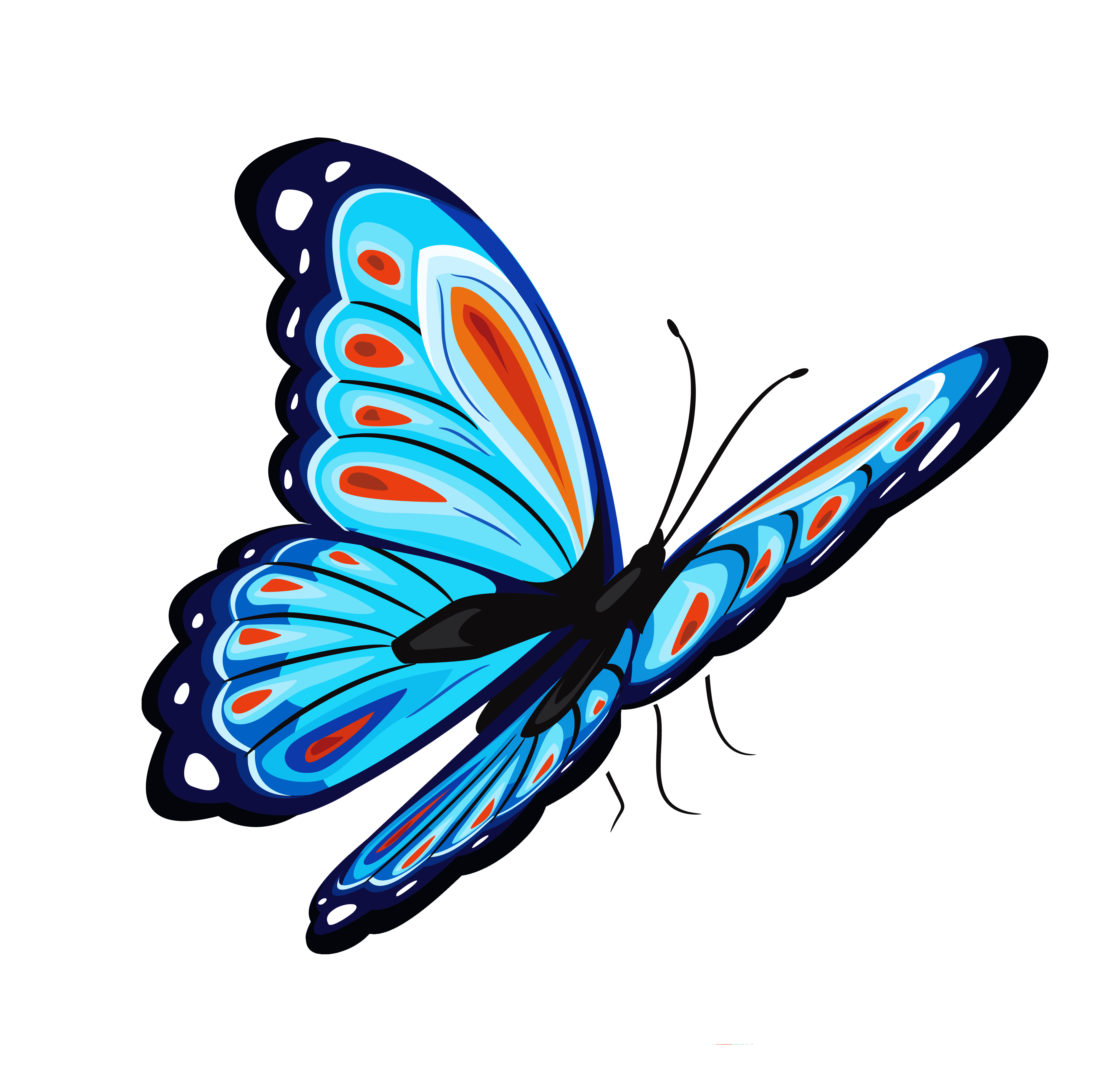 Blue Butterfly PNG Image