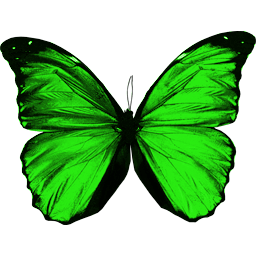 Green Flying Butterfly Png Image PNG Image