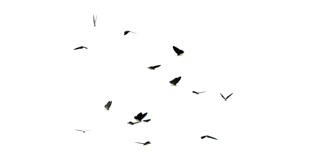 Butterflies Swarm Clipart PNG Image
