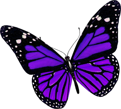 Purple Butterfly File PNG Image