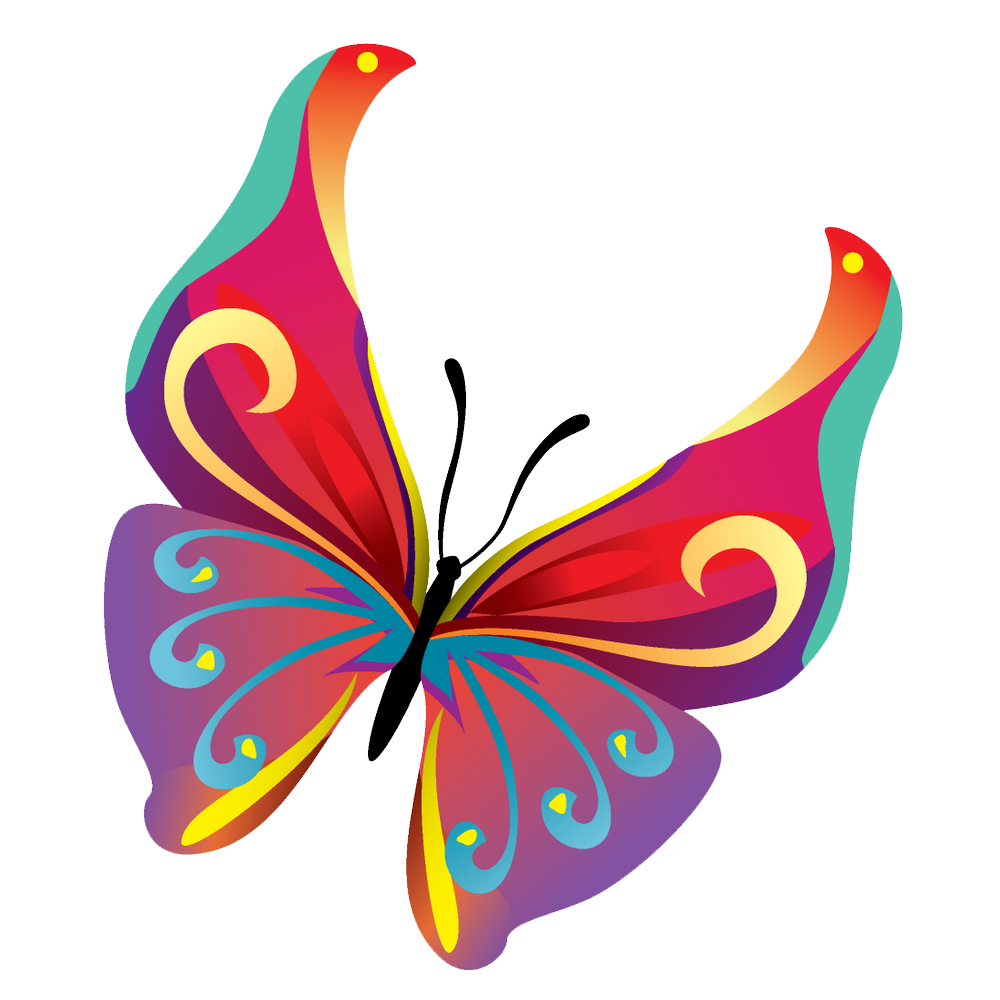 Butterflies Vector PNG Image