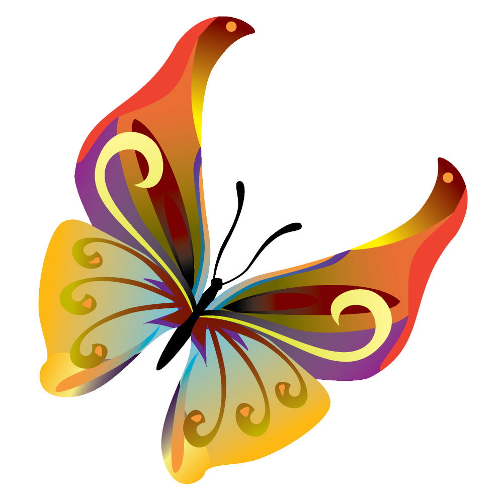 Butterflies Vector Transparent Image PNG Image