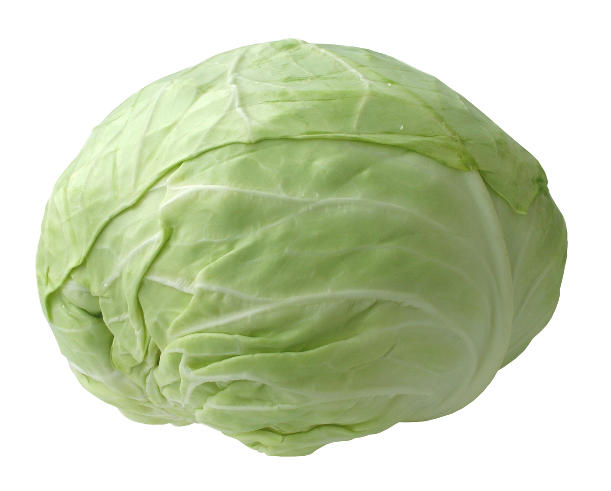 Cabbage Png Picture PNG Image