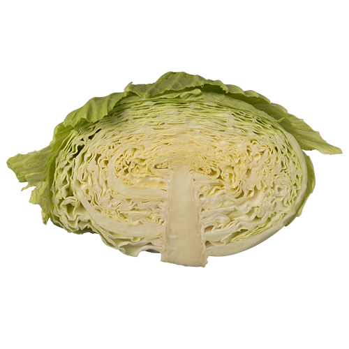 Fresh Cabbage Half Free Download Image PNG Image