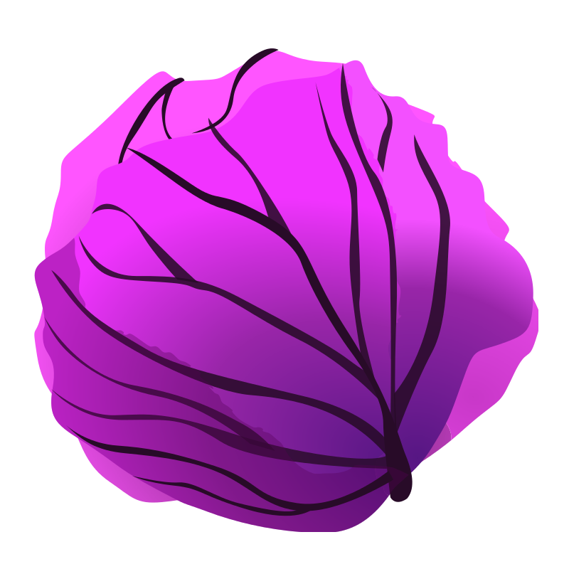 Purple Cabbage Clip Art PNG Image