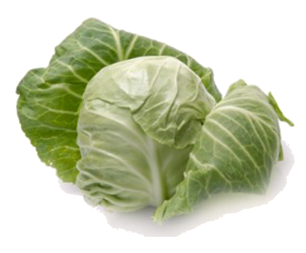 Cabbage Png PNG Image