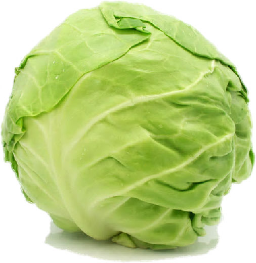 Cabbage Free Png Image PNG Image