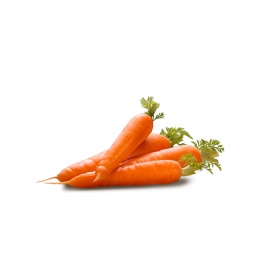 Carrot Picture PNG Image