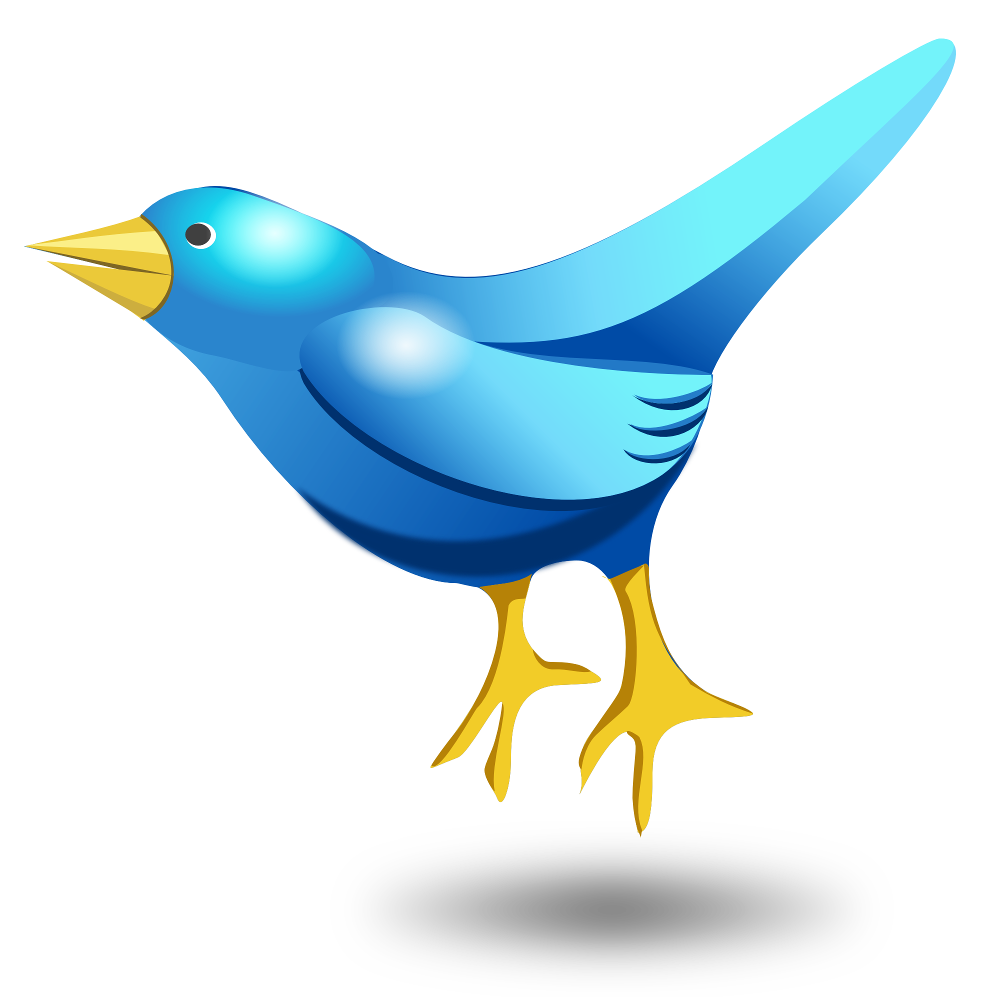 Vector Twitter Tweet Bird PNG Image High Quality PNG Image