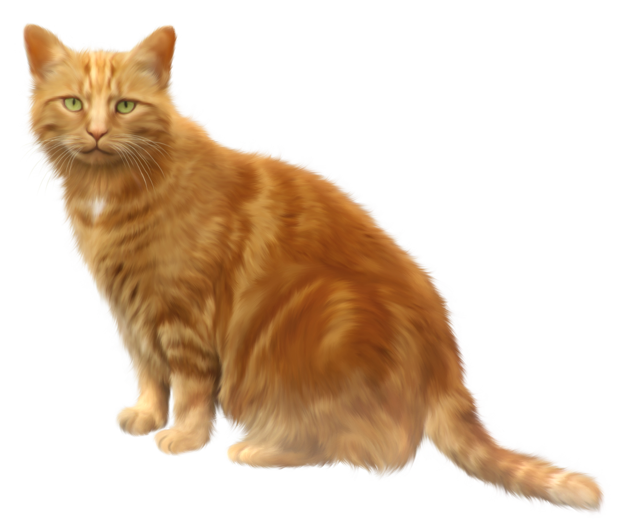 Golden Cat PNG Image