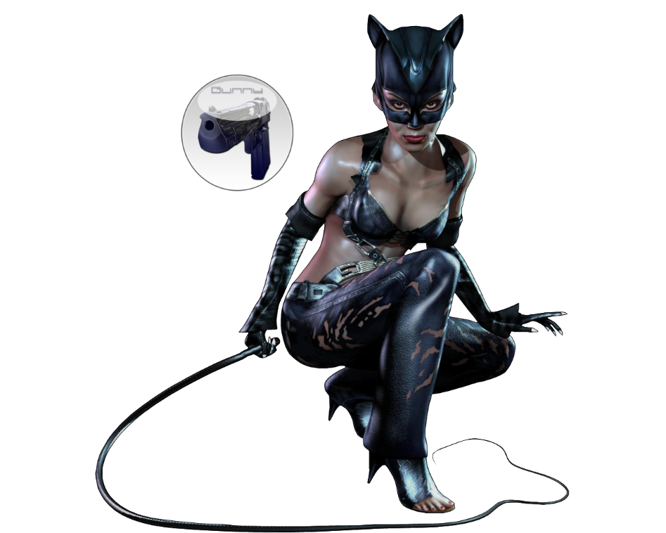 Catwoman Png Image PNG Image