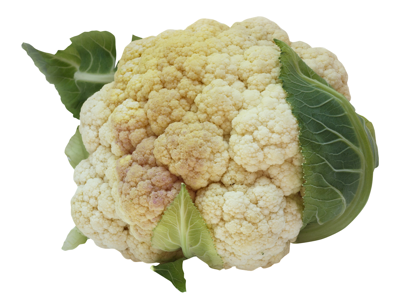Cauliflower Image PNG Image
