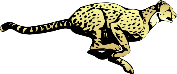 Cheetah Transparent Image PNG Image