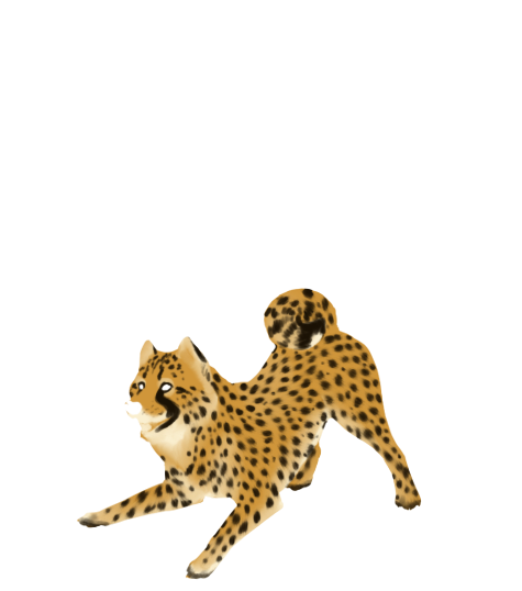 Cheetah Clipart PNG Image