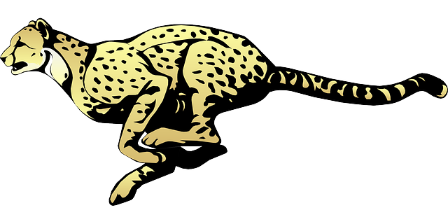 Cheetah Transparent PNG Image