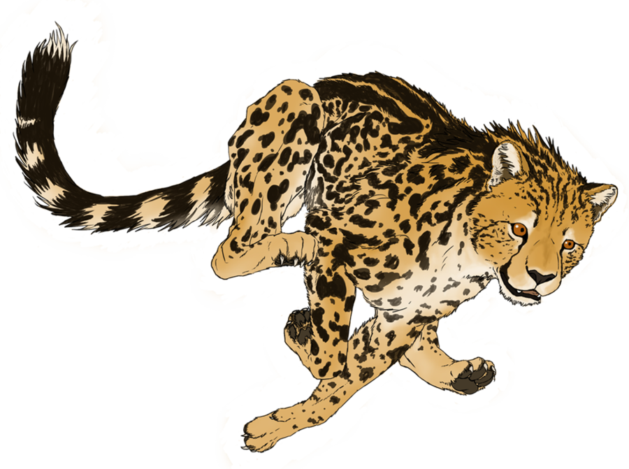 Cheetah Transparent Picture PNG Image