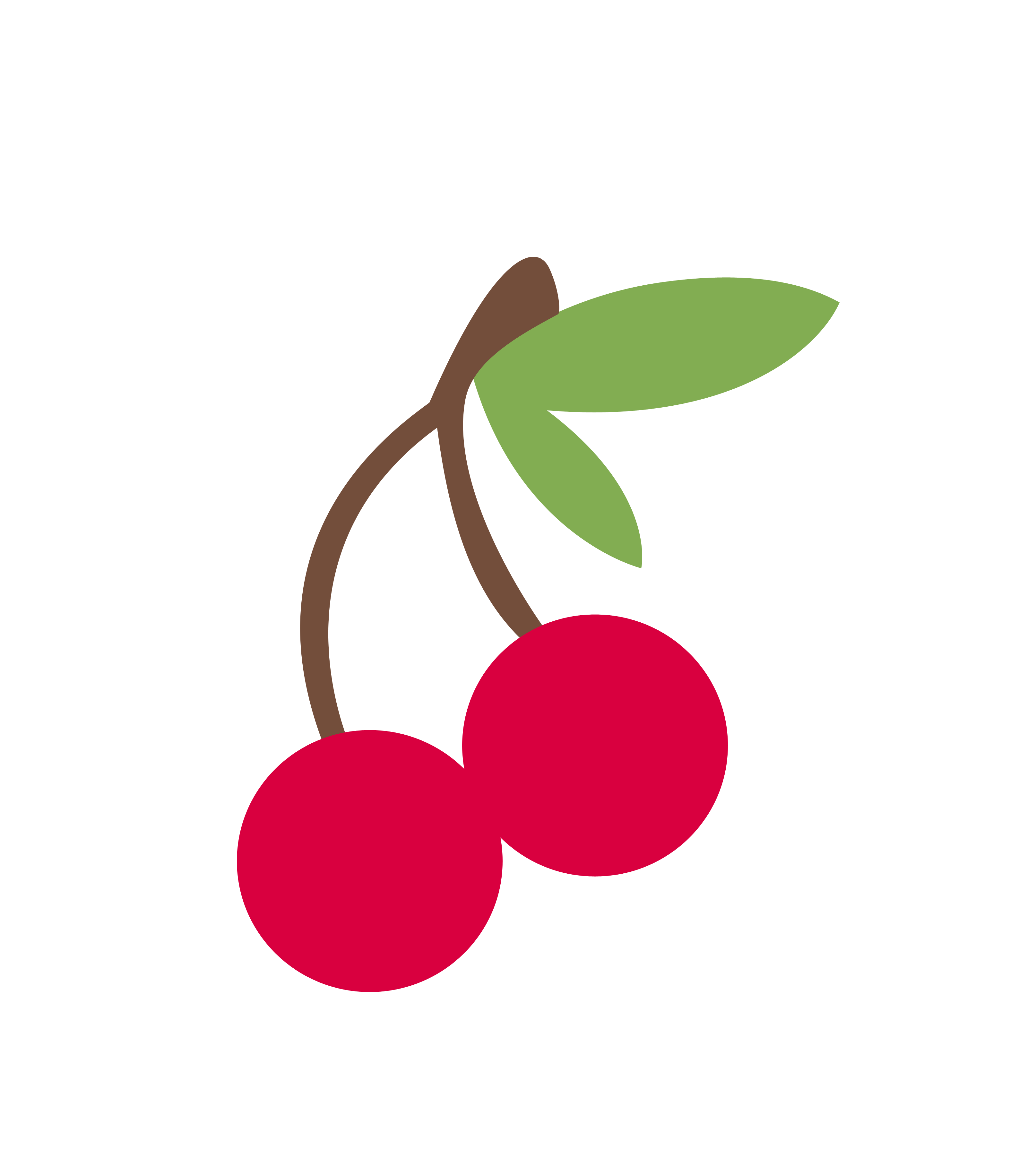 Cherry Vector Transparent Background PNG Image