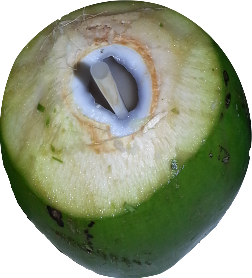 Fresh Coconut Green Download HD PNG Image