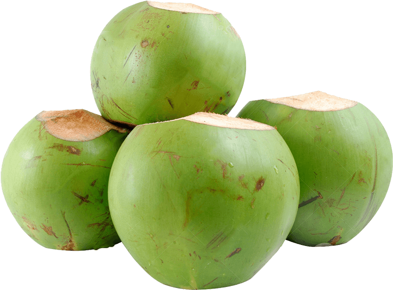 Green Coconut Organic Free PNG HQ PNG Image