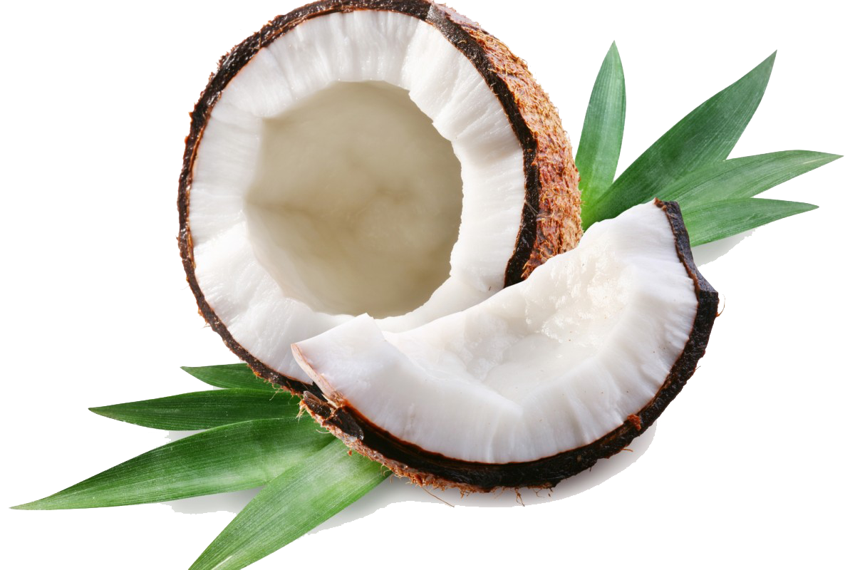 Coconut Free Download Png PNG Image