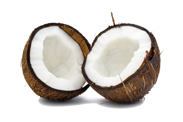 Coconut Free Png Image PNG Image