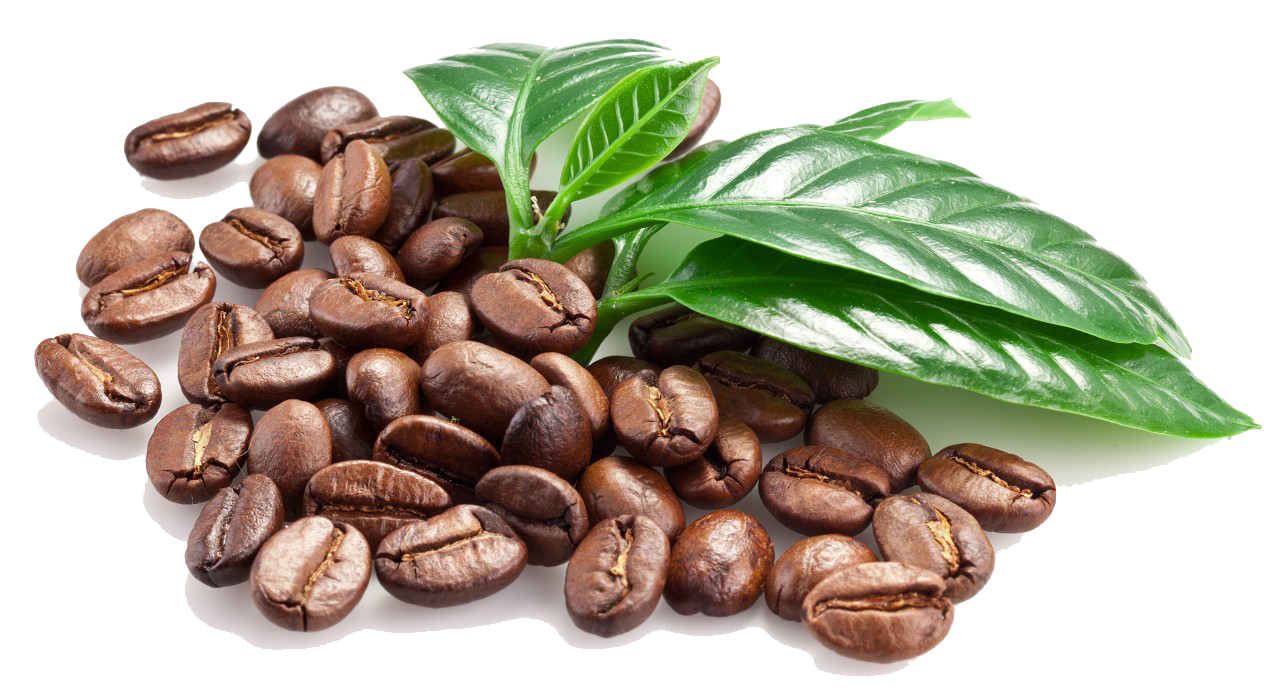 Coffee Beans Png Clipart PNG Image