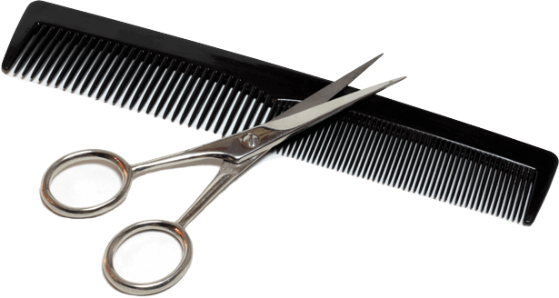 Comb PNG Image
