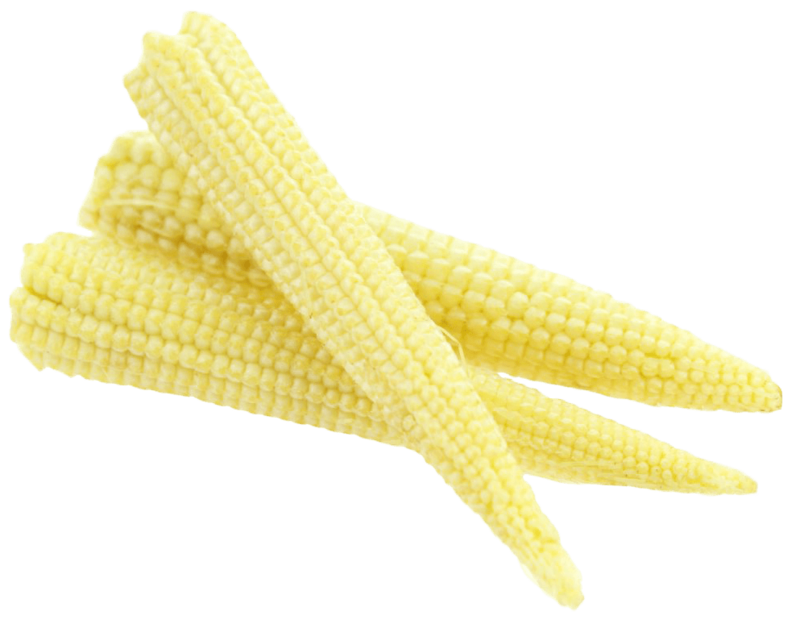 Baby Corn Young Cobs PNG Image High Quality PNG Image