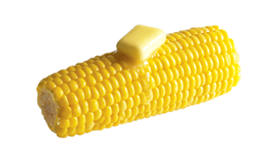 Corn Cob PNG Image