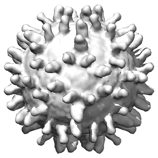 Coronavirus PNG Image