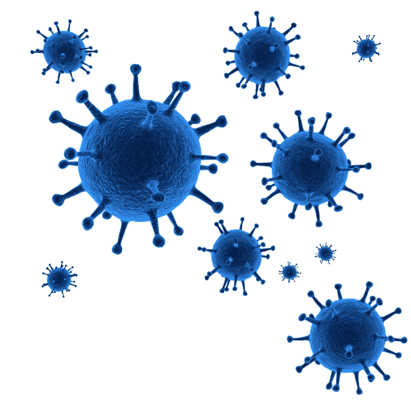 Вирус коронавирус ковид-19. Бактерия ковид 19. Вирус ковид19 PNG. P virus