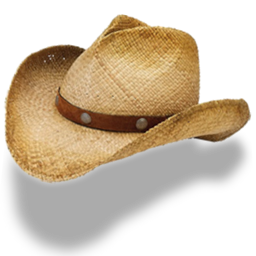 Cowboy Hat High-Quality Png PNG Image