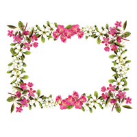 Floral Frame Image PNG Image