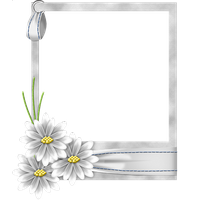 White Flower Frame Transparent PNG Image