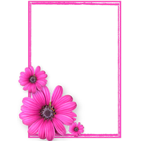Pink Flower Frame Photos8 PNG Image
