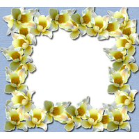Yellow Border Frame File PNG Image