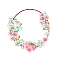 White Flower Frame PNG Image
