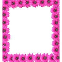 Pink Flower Frame Photo PNG Image