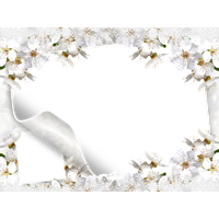 White Flower Frame Picture PNG Image