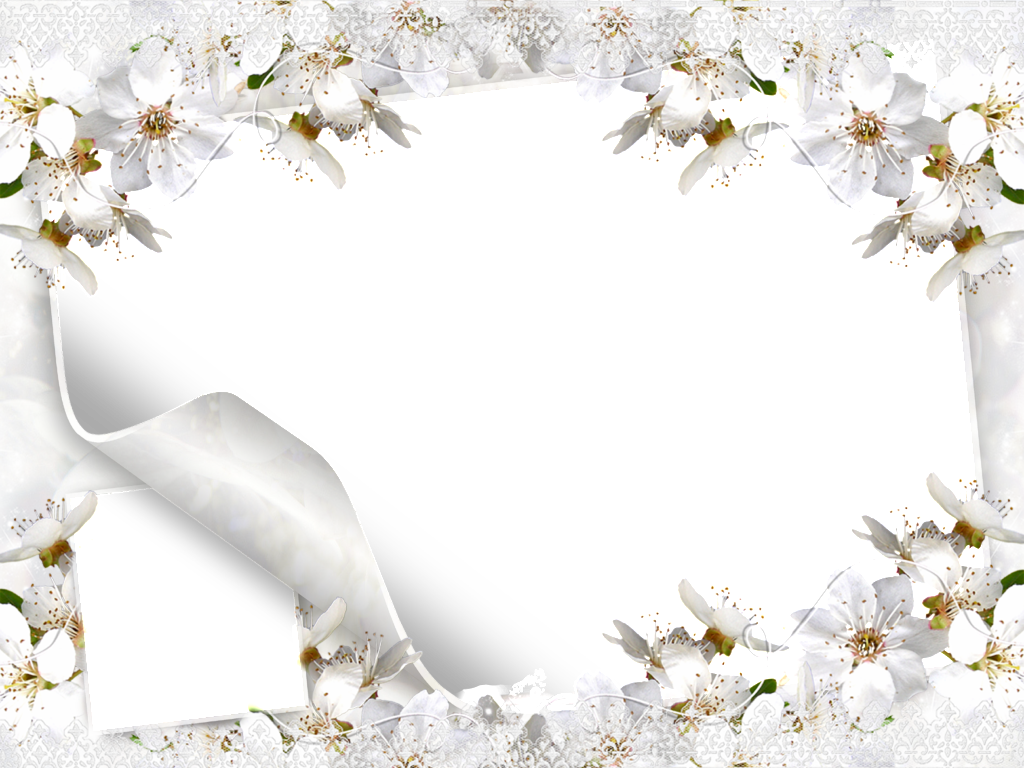 White Flower Frame Picture PNG Image