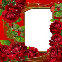 Red Flower Frame PNG Image