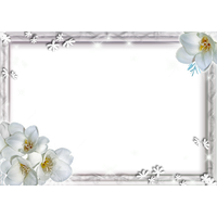 White Flower Frame File PNG Image