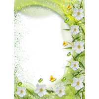 White Flower Frame Transparent Background PNG Image