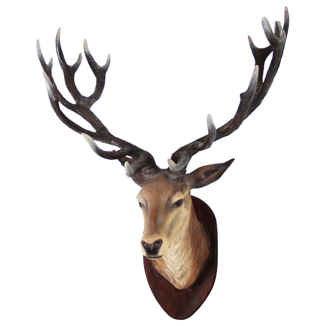 Deer Head Transparent Image PNG Image